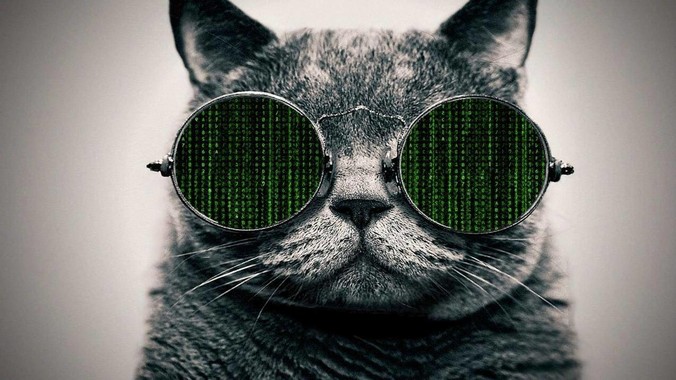 为什么国内没有一个发布需求的***或网站呢？
